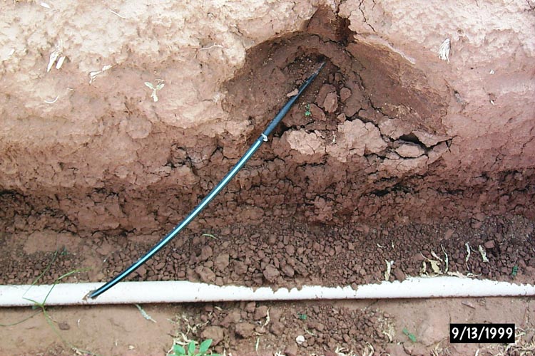 MicroIrrigationPhoto_358