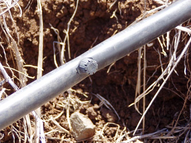 MicroIrrigationPhoto_361
