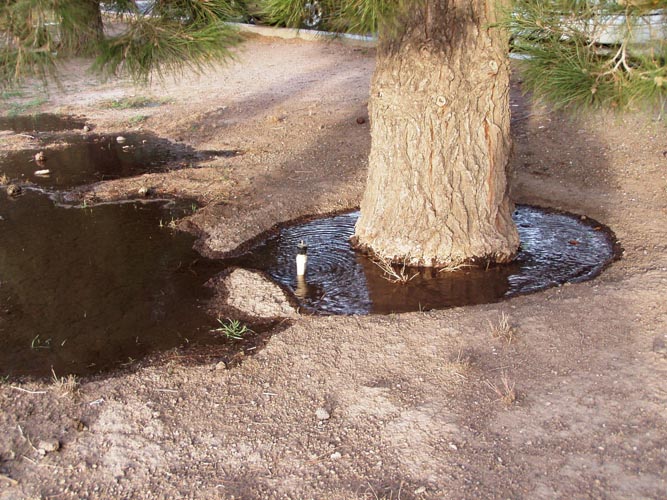 MicroIrrigationPhoto_363