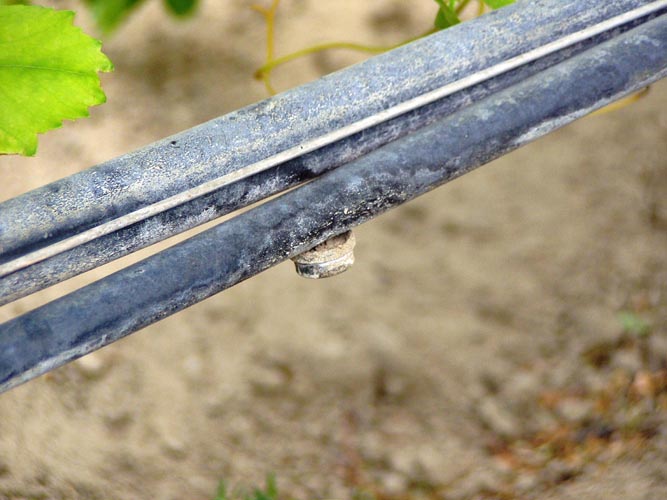 MicroIrrigationPhoto_365