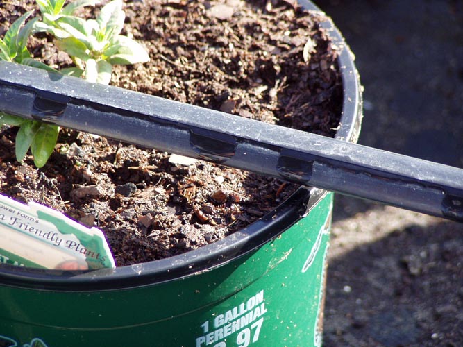 MicroIrrigationPhoto_366