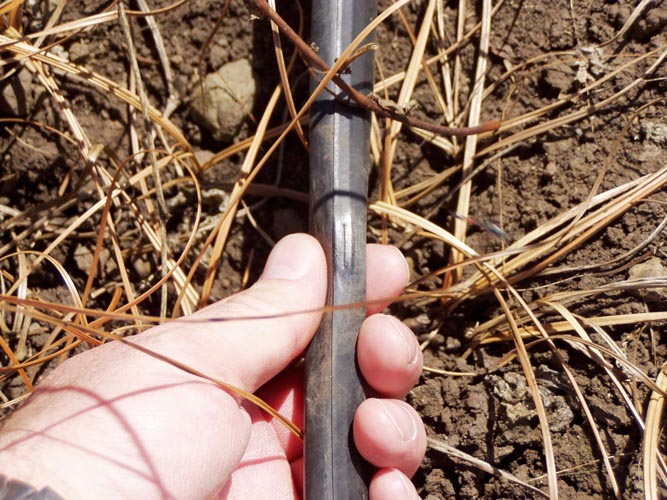 MicroIrrigationPhoto_370