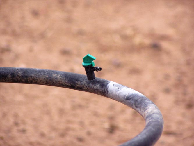 MicroIrrigationPhoto_374