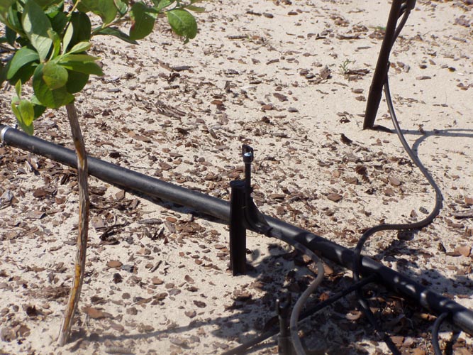 MicroIrrigationPhoto_392