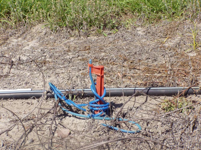 MicroIrrigationPhoto_393
