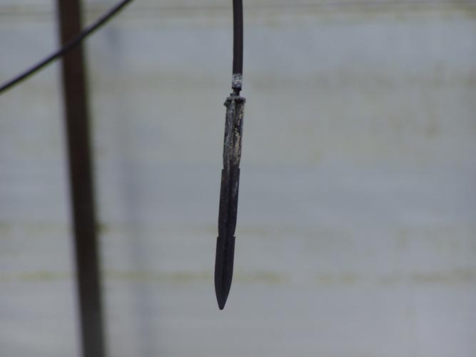 MicroIrrigationPhoto_394