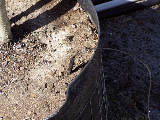 MicroIrrigationPhoto_396