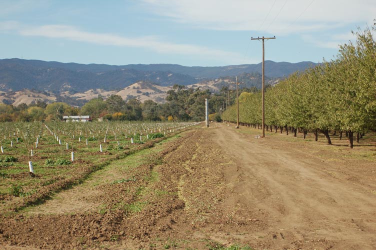 MicroIrrigationPhoto_405