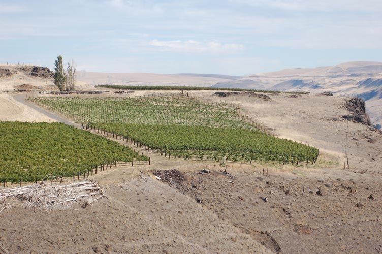 MicroIrrigationPhoto_408