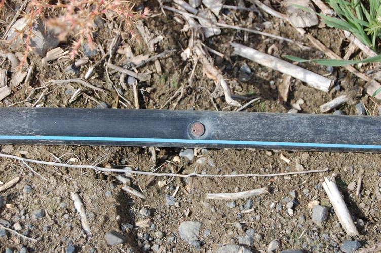 MicroIrrigationPhoto_414