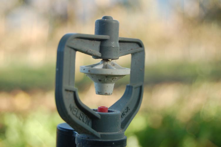 MicroIrrigationPhoto_419