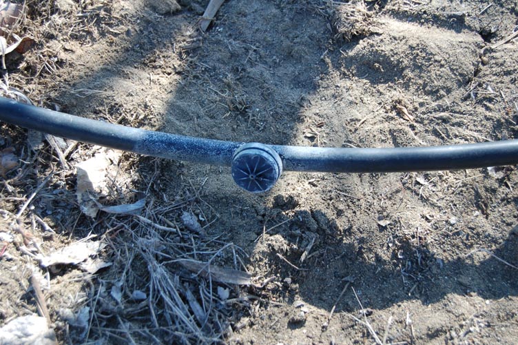 MicroIrrigationPhoto_422