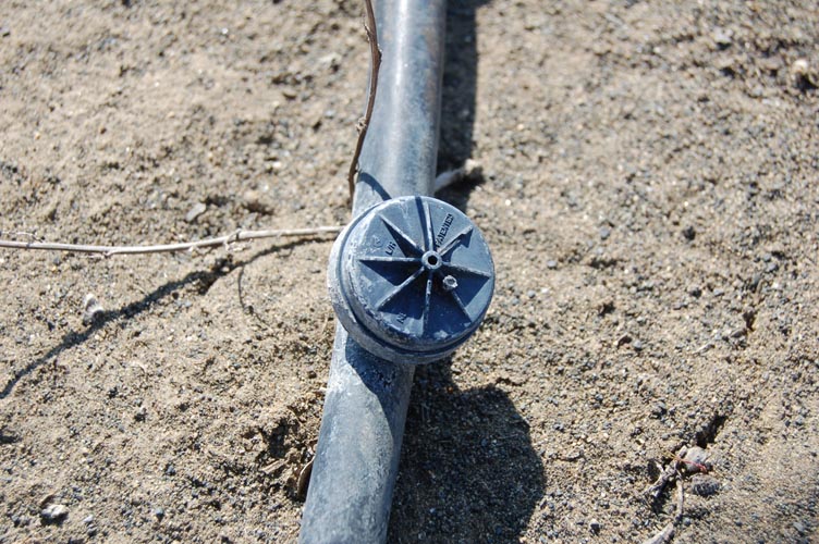 MicroIrrigationPhoto_423