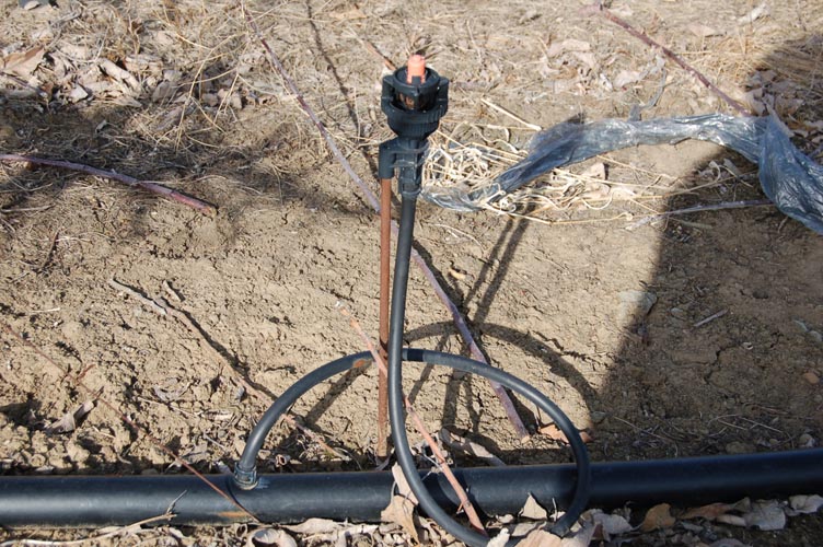 MicroIrrigationPhoto_424