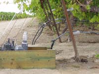 MicroIrrigationPhoto_359