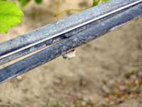 MicroIrrigationPhoto_365