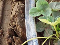 MicroIrrigationPhoto_371