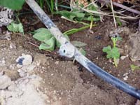 MicroIrrigationPhoto_375