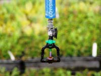 MicroIrrigationPhoto_388