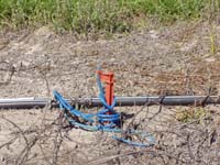 MicroIrrigationPhoto_393