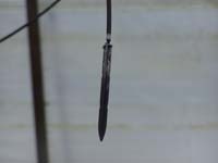 MicroIrrigationPhoto_394