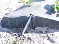 MicroIrrigationPhoto_398