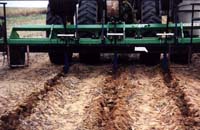 MicroIrrigationPhoto_403