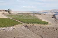 MicroIrrigationPhoto_408