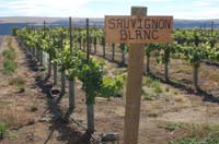 MicroIrrigationPhoto_411