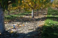 MicroIrrigationPhoto_415