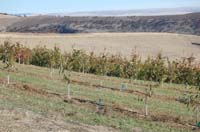 MicroIrrigationPhoto_416