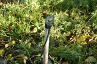 MicroIrrigationPhoto_418