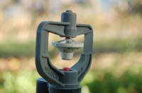 MicroIrrigationPhoto_419