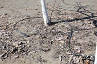 MicroIrrigationPhoto_420