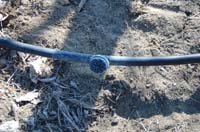 MicroIrrigationPhoto_422