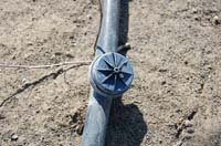 MicroIrrigationPhoto_423