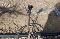 MicroIrrigationPhoto_424