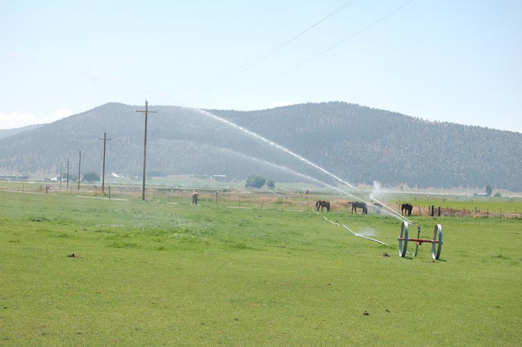 MiscIrrigationPhoto_257