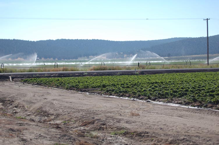 MiscIrrigationPhoto_279