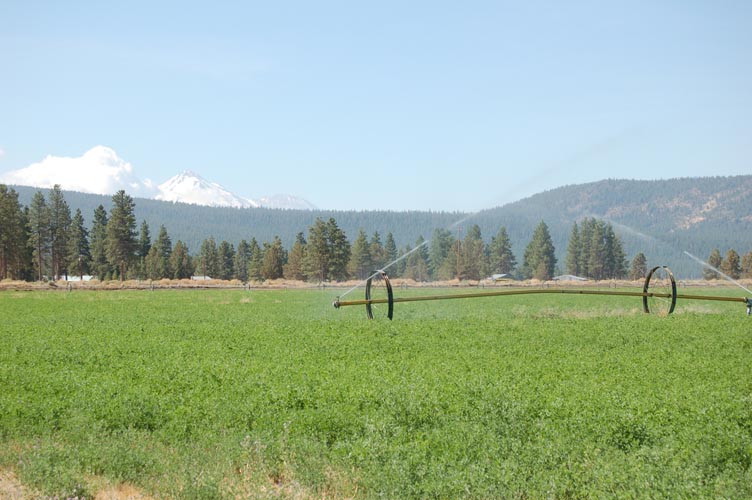 MiscIrrigationPhoto_288