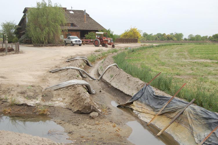 MiscIrrigationPhoto_294