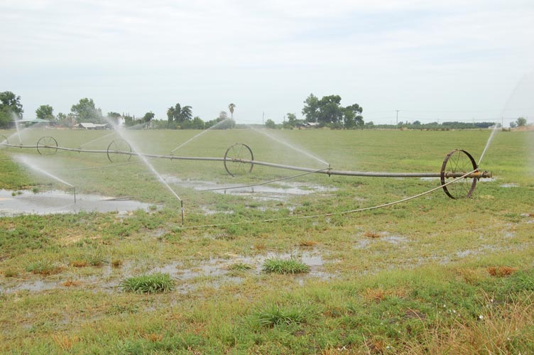 MiscIrrigationPhoto_311