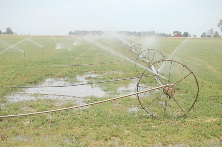 MiscIrrigationPhoto_313