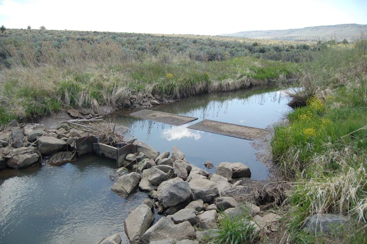 MiscIrrigationPhoto_315