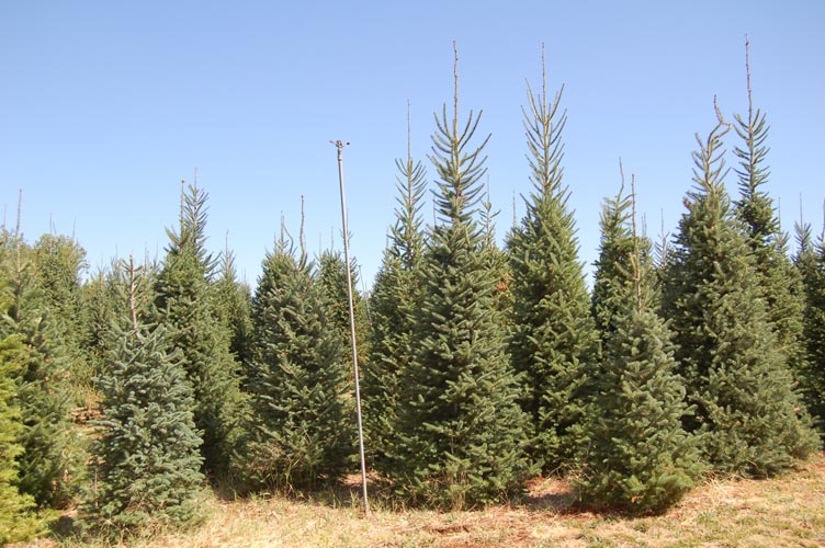 MiscIrrigationPhoto_322