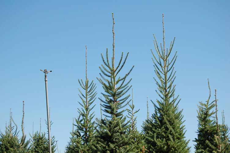 MiscIrrigationPhoto_323