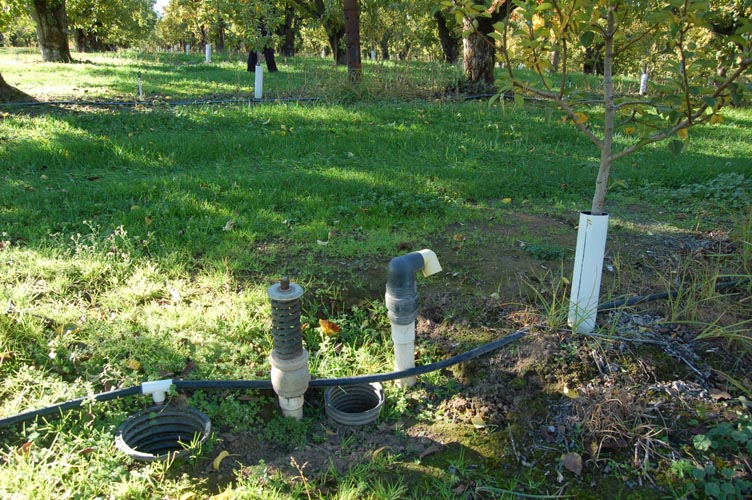 MiscIrrigationPhoto_338
