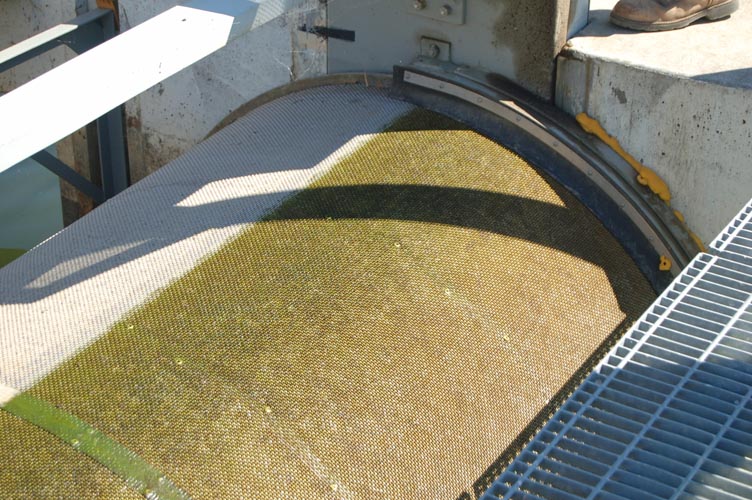 MiscIrrigationPhoto_353