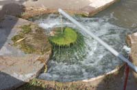 MiscIrrigationPhoto_251