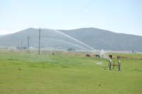 MiscIrrigationPhoto_257